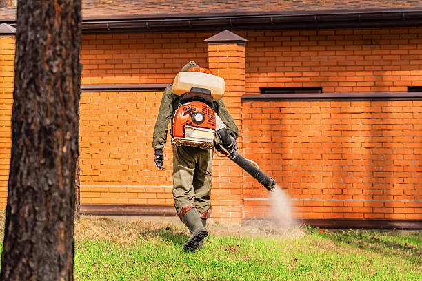 Trusted Bed Bug Control service in McAlmont, AR - Nex Pest Control